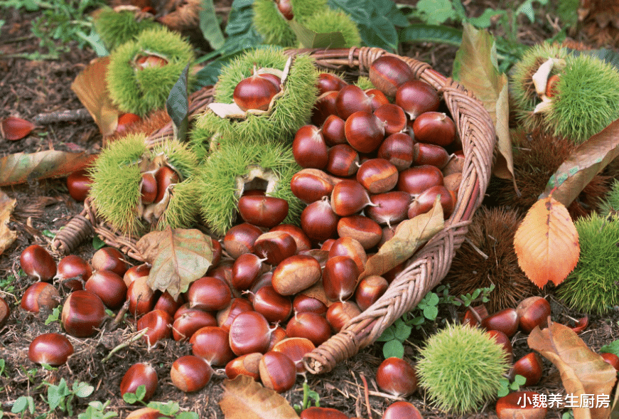 板栗|买板栗时，挑个头圆的还是扁的？老果农说漏了嘴，别再买错了