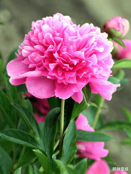 旧爱|11月上旬期间，这4大星座，将收获真爱，获得完美幸福的爱情！