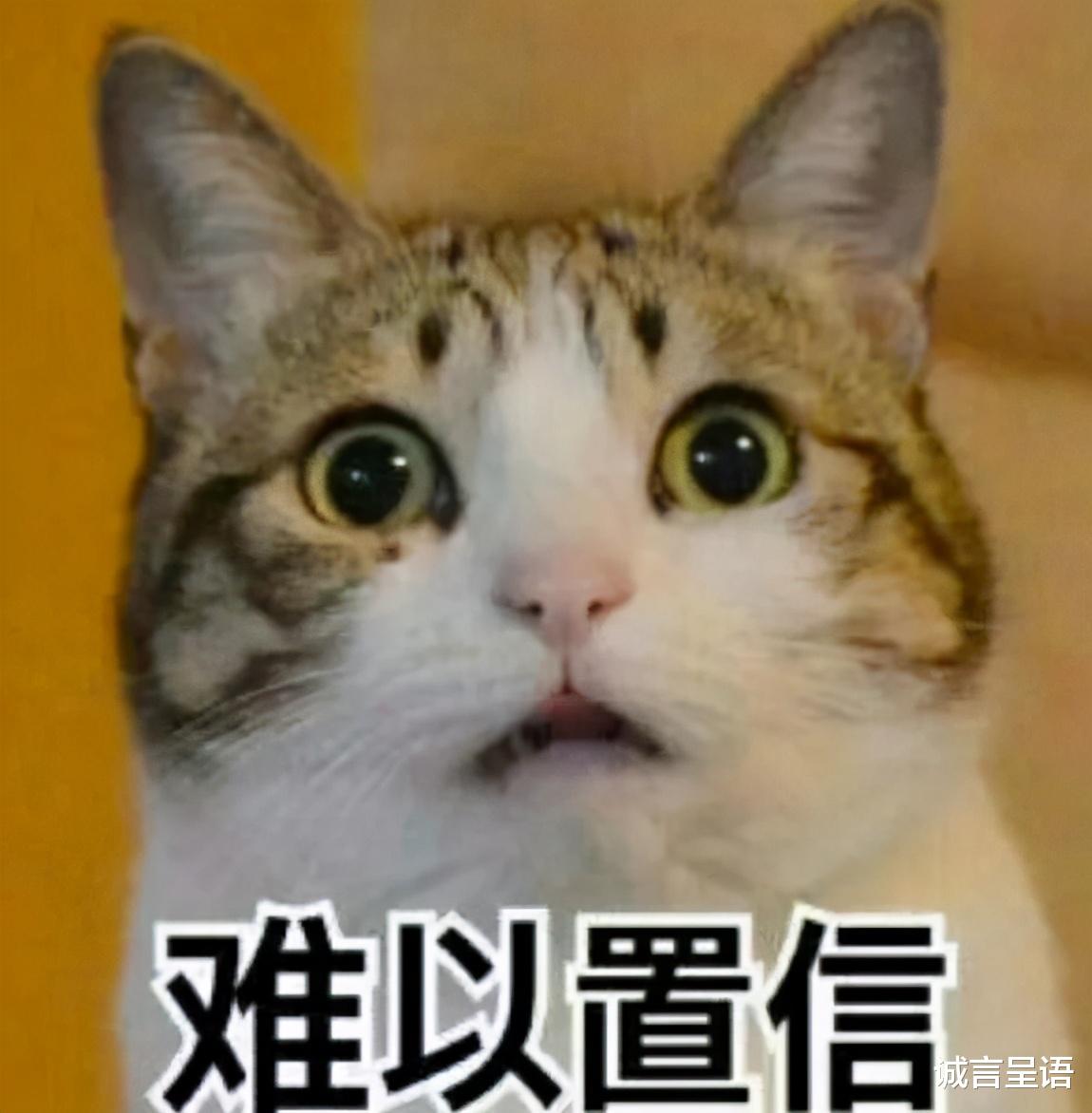 大学|普通班的“鸡头”，还是重点班的“凤尾”？亲身经历告诉你怎么选