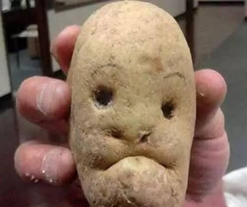 【太空】一生都难得一见的奇葩植物，仿佛来自外太空