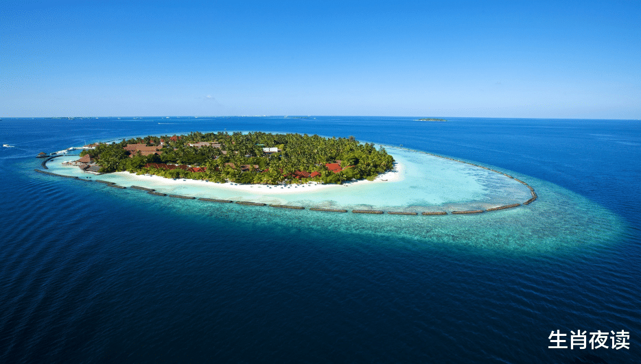 处女座|11月,繁华散尽,痴情未改,为谁醉为谁痴,酒才一杯,为爱上头