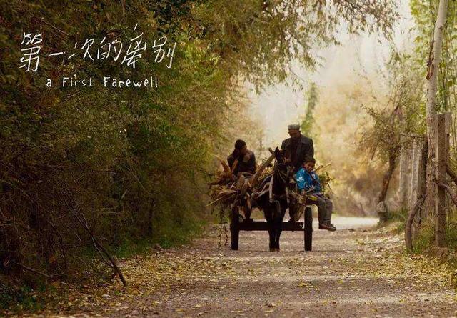 爱奇艺|影院宣布复工的第一天，就有5部新片火速定档，有你喜欢的吗？