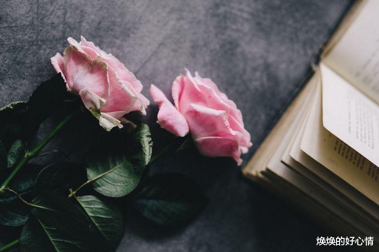 属鼠|九月期间，越爱越伤、总把暧昧当真爱，实在很傻很天真的四大星座