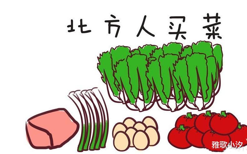 土豆|北方人：你们买菜非要这么小气吗？南方人：北方不是这样的吗？