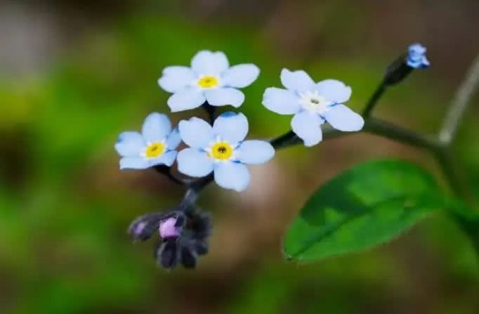 [运势]6月中旬开始有贵人登门，运势旺盛，日子富平安的4大生肖