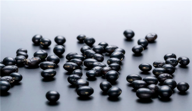 贫血▲黑豆有什么作用，真的可以补血吗？你的理解真的对？看专家的理解