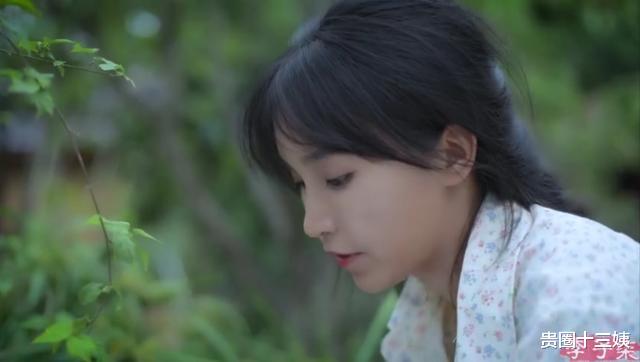 「李子柒」越南博主抄袭李子柒,拍摄手法如出一辙,网友痛斥“不要脸”