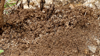 江南都市报|紧急提醒！江西已出现！