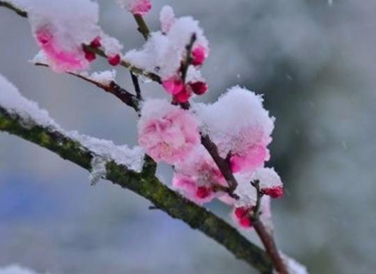 「吉星」下周起，4属相吉星照射，贵人出现，添丁添福添鸿运，财喜双收