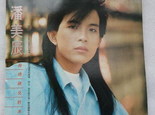 潘美辰|“中性始祖”潘美辰：当红时因绯闻淡出乐坛，51岁和哥哥依旧单身