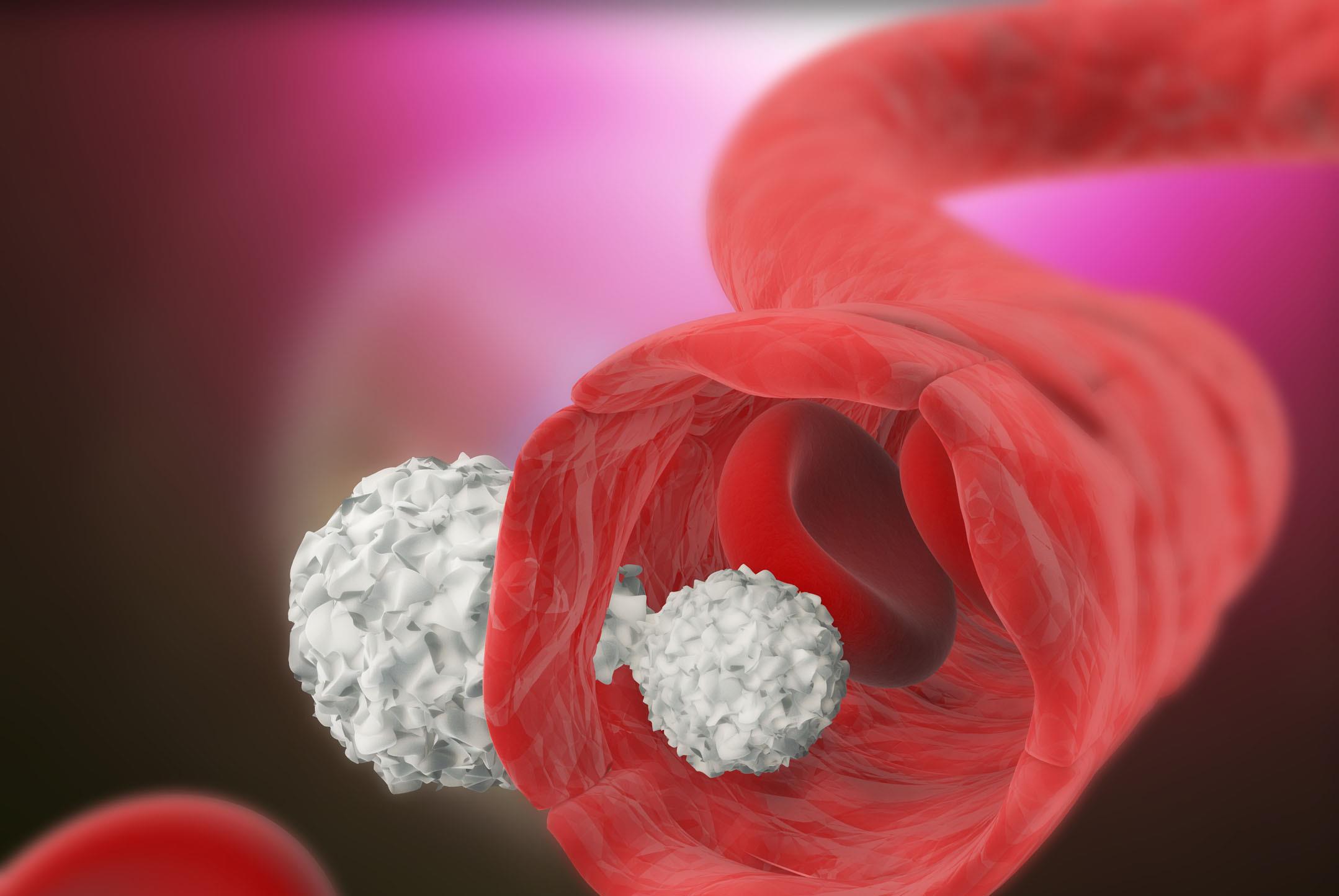 黄芪|黄芪和它“天作之合”，用来泡水喝，血管通畅，肝肾也许笑开颜