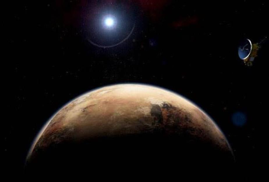 『科学家』太阳系边缘发现生命痕迹，一只大象般的蜗牛，科学家为此吵翻天