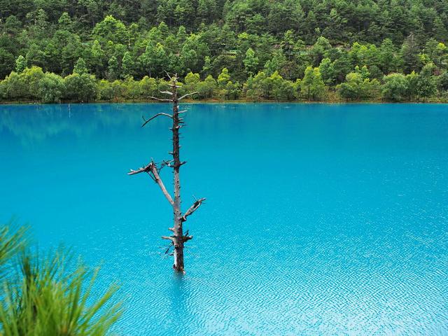 蓝月谷|玉龙雪山脚下仙境般的蓝月谷，媲美九寨沟，附避坑攻略