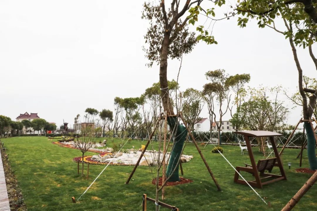 浦东发布 浦东有六个村被评为2020年度上海市美丽乡村示范村,你都去过吗?