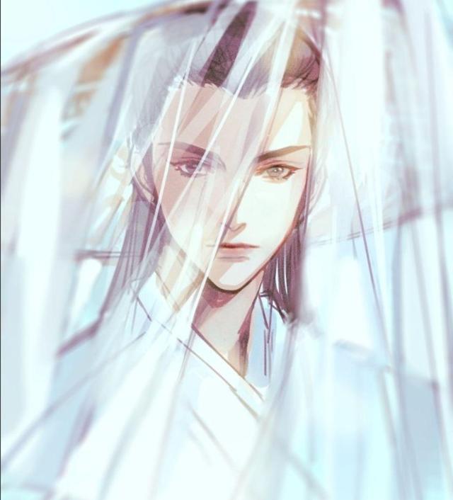 [朱雨辰]《皓衣行》中楚晚宁造型曝光，罗云熙太仙了，蒙面纱是哪段剧情？