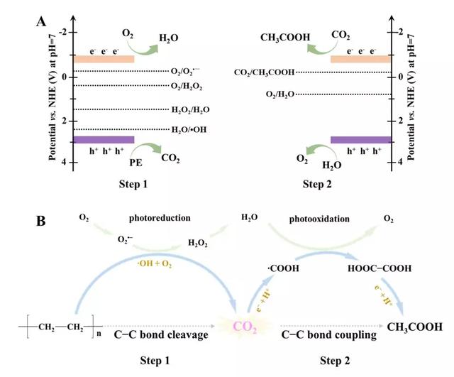 【白色污染】我国科学家在40小时内将“塑料垃圾”完全降解，并变成燃料
