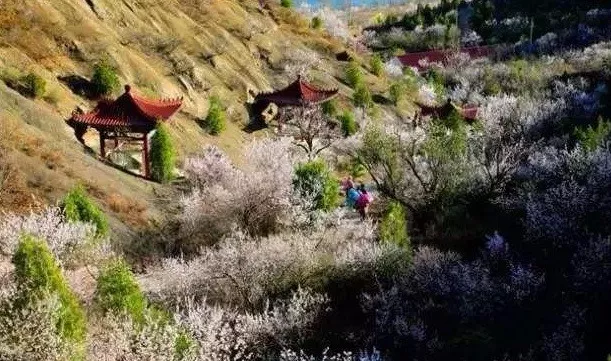 [自驾]五一小假期，自驾之旅，京郊16条醉美的公路，总有一款适合您！