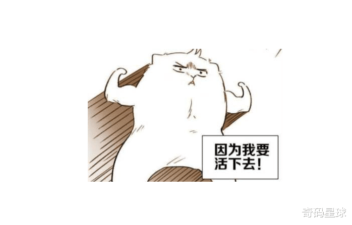 [呼和浩特]太无奈了！87%教培机构还没有缓过来，就遭遇行业史上人才危机！