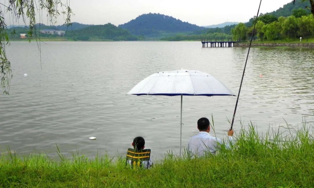 ##雨后涨水钓位怎么选，深水沟往往超乎你想象——盛世三渔