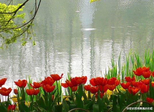 吉星|9月18日开始，吉星庇佑，4属相财运大涨，招财纳福，大发特发