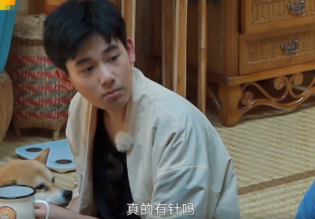张子枫|张子枫才是“避嫌高手”，迎接客人看到胡先煦，下意识反应很机智