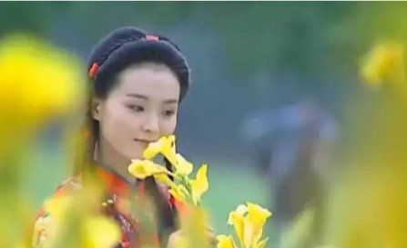 『苏有朋』苏有朋与王艳合作过的电视剧，普遍看过3部，看过5部是资深粉