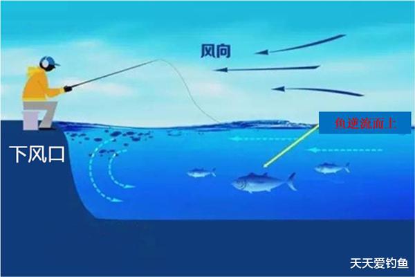 |秋季钓鱼与风向，初秋钓北风，晚秋钓南风，选对风向渔获飙升！