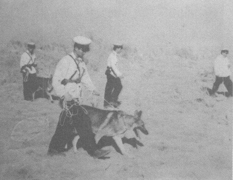 量子技术|罗布泊双鱼玉佩,复制的能力来自量子技术?所需的能量巨大