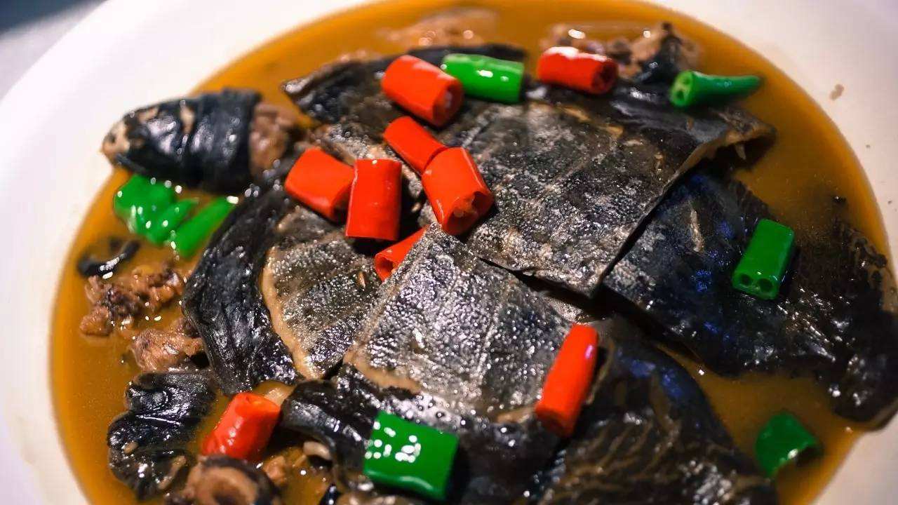 「奶茶」6种“残忍”的食物，赌1000杯奶茶，几乎没人能全部吃下去