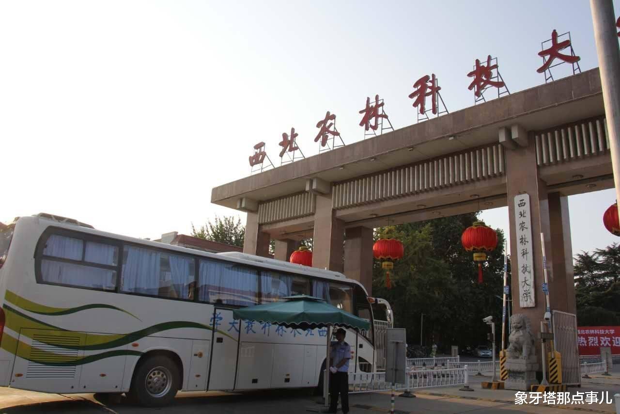 「高校」末流985高校和沿海普通一本,录取分相当,高考生该如何选择?