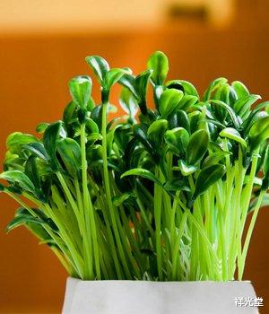 肝脏|肝脏好不好，睡觉就知道！睡觉时出现3种“迹象”，趁早检查肝功