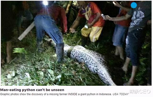 蟒蛇|遭遇蟒蛇被蛇吞时，一把锋利的匕首能自救？高压气瓶匕首一刀干死