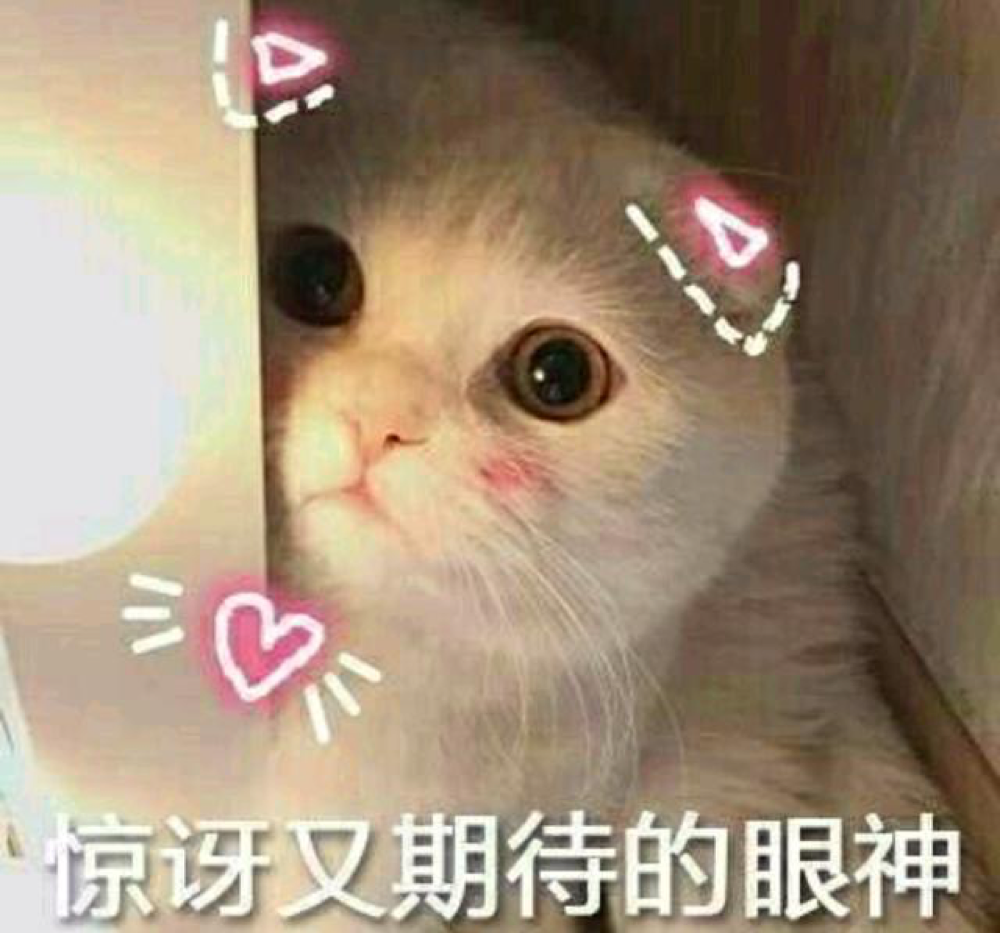 短发▲周冬雨成过去式，柯佳嬿变“换发型如换脸”新代表，同款短发爆红