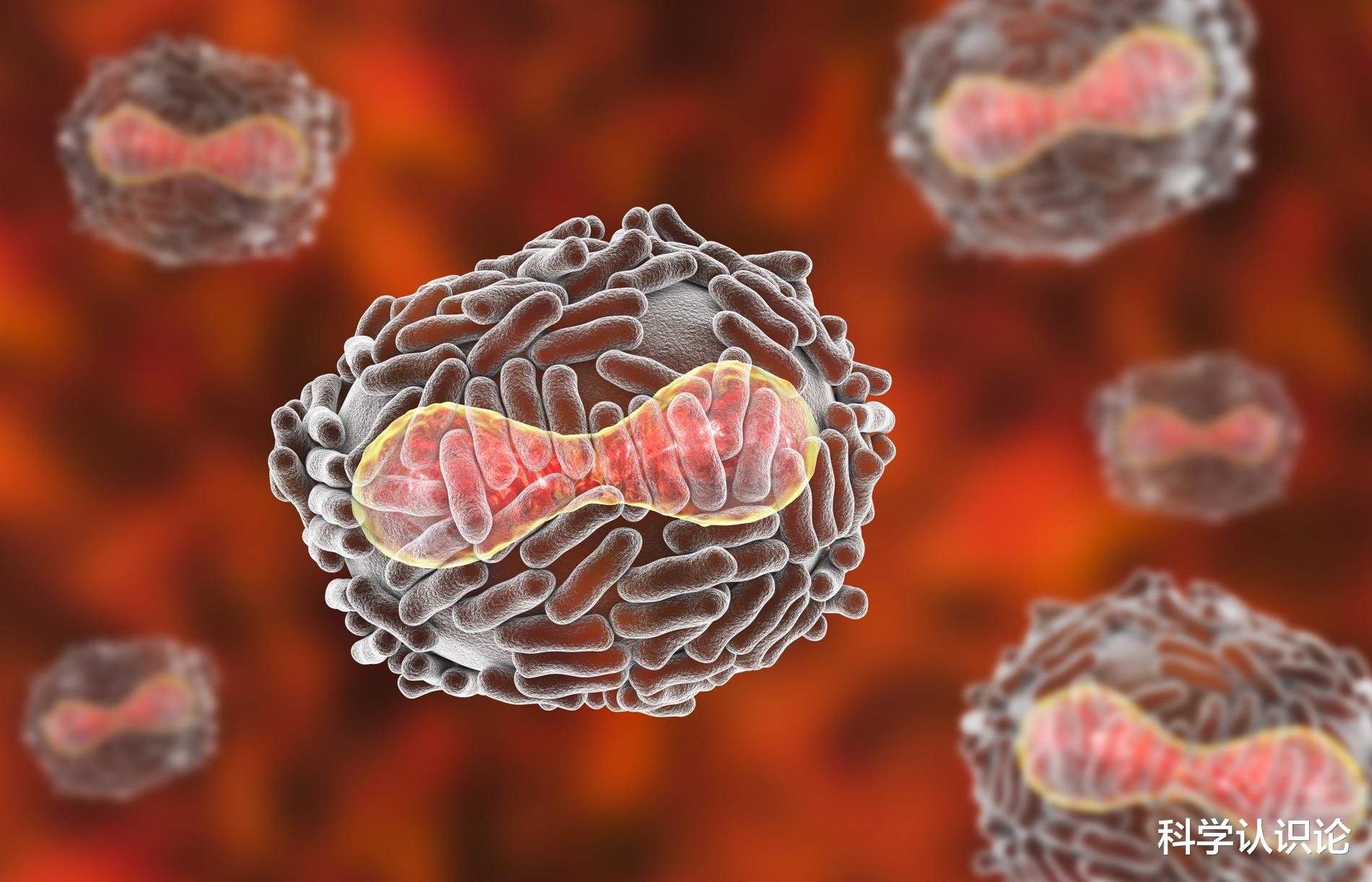 『鼠疫』人类历史上有过“群体性免疫”的成功案例吗？天花病毒算吗？