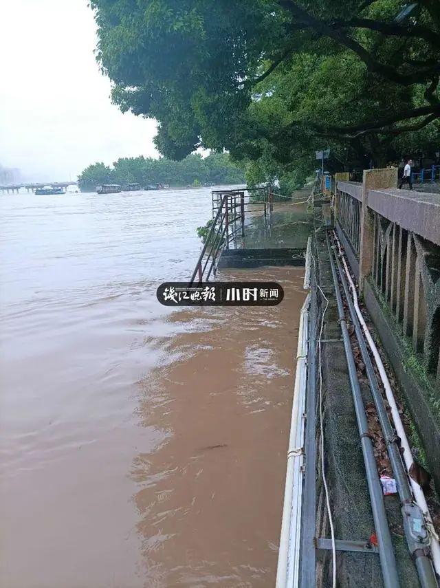 半岛晨报|9孔全开泄洪后，有居民区淹至二楼，树都淹到树冠部位了