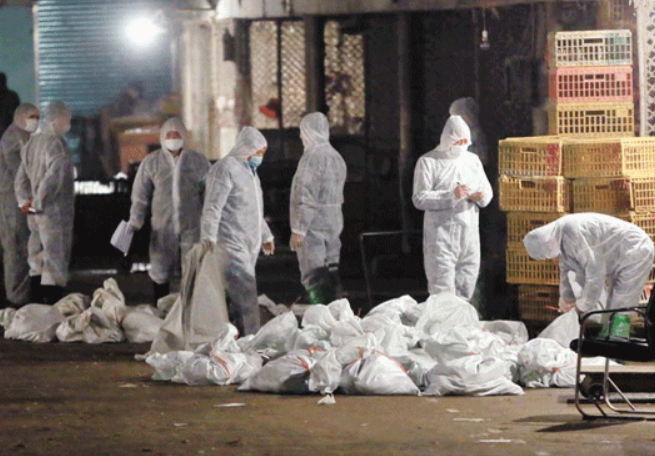 「联合国」全球感染人数突破257万，如何才能让世界恢复正常？办法只有一个