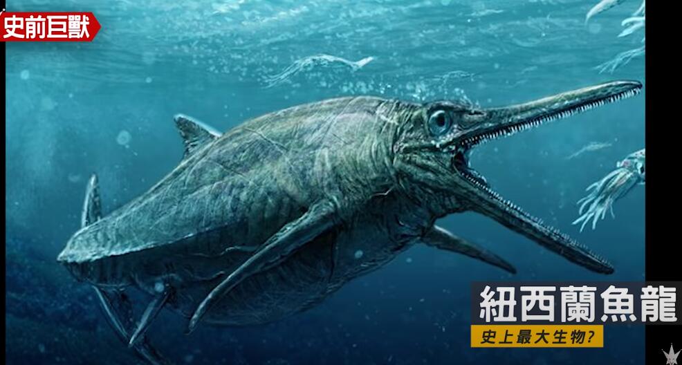 恐龙|史前超级巨兽，曾经各霸一方的食物链顶端猎食者！