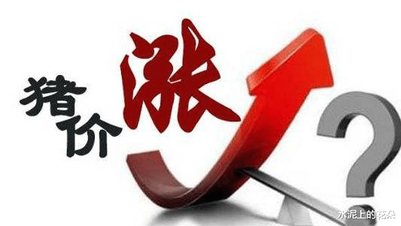 #生猪价格#6月1日猪市，多重利空下为啥逆势上涨？为何养猪人却高兴不起来？
