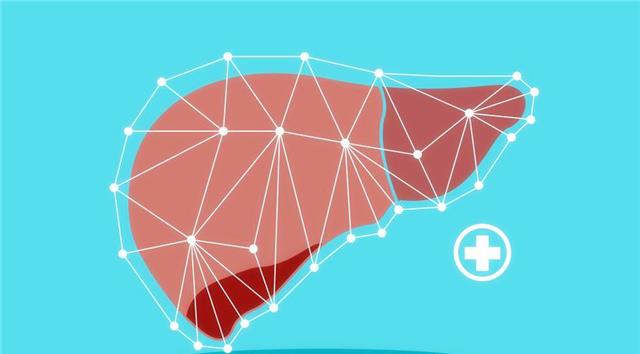 乙肝▲乙肝病毒携带者，出现蜘蛛痣，身体没有症状，这到底是什么原因？