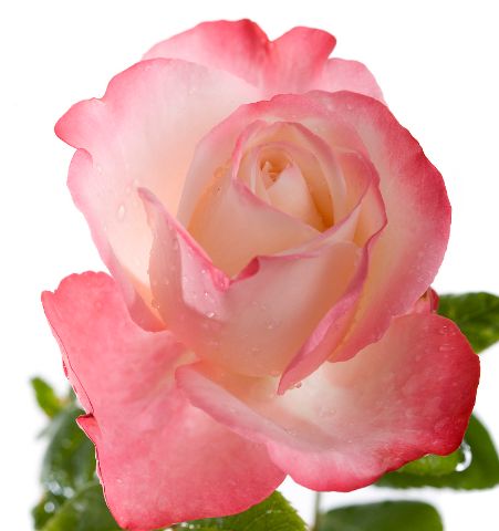 生肖|10月下旬，4属相财运高照，运势如虹，有福有财有好运，顺顺利利