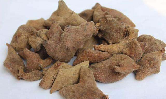 「雄黄酒」夜钓怎么才能不怕蛇咬?