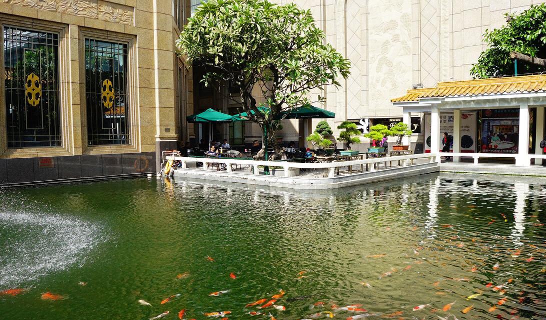 混凝土|钢筋混凝土养鱼池,混凝土干透再放水吗?还是不用等混凝土干透?