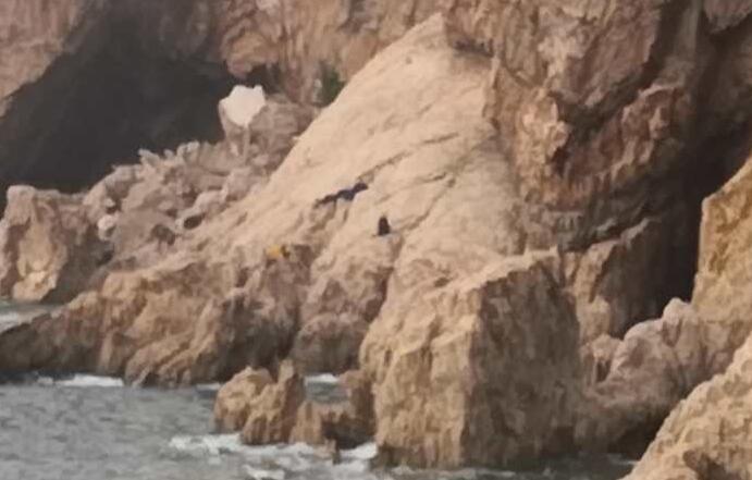 骨灰级|清晨，钓鱼男子在棒棰岛附近失足坠下40多米高悬崖