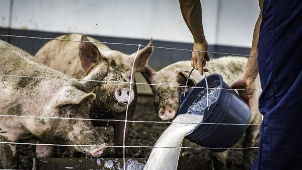 「程序员」程序员，工资那么高还辞职，是狂妄无知还是被迫无奈？