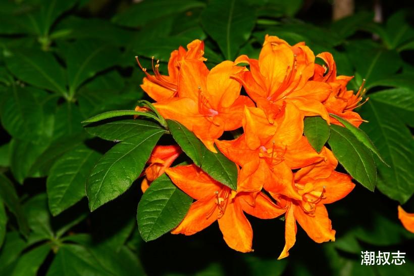 生肖■7月9号财神进宅，这3生肖横财临头，步入发达之路，不愁钱！