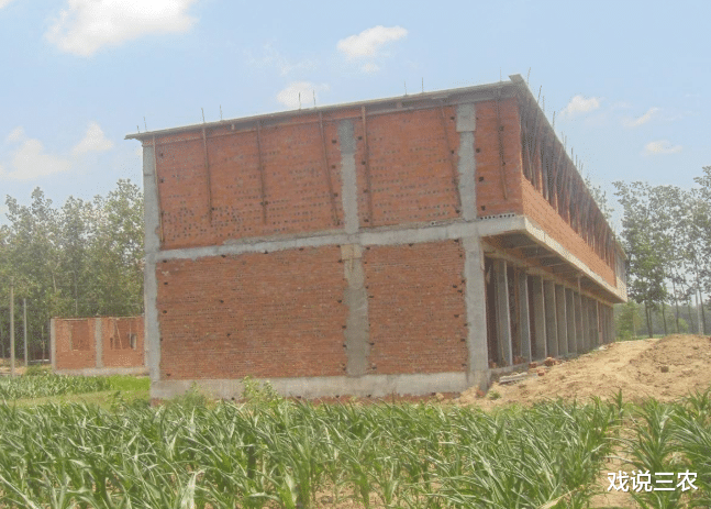 宅基地|8月起,农村启动新一轮清查!严惩3种行为!农民早了解,别吃亏!