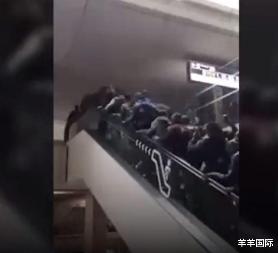 法国|加州毁了！高票通过向黑人赔款法，大批华人疯狂逃离！