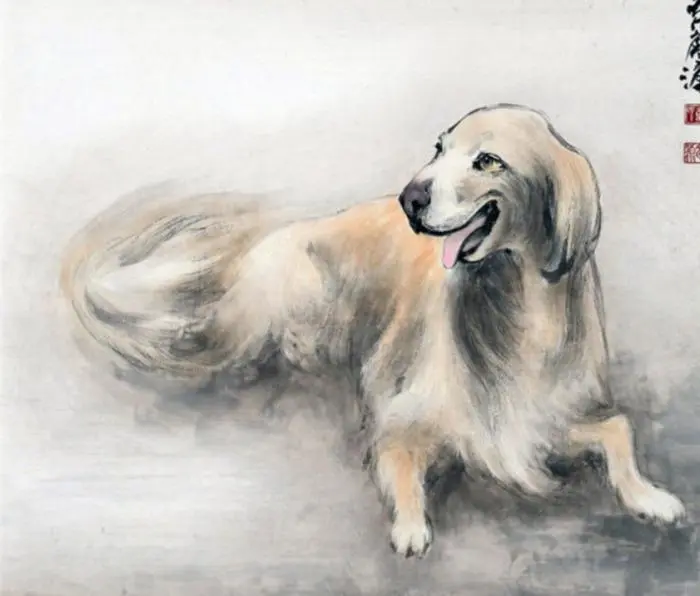 水瓶座@生肖狗,2020年有躲不过的“灾难”,早看早预防!