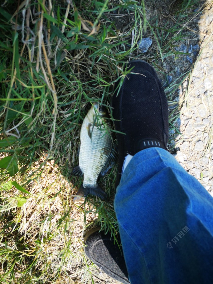 医生|许久末玩，甚是惨淡