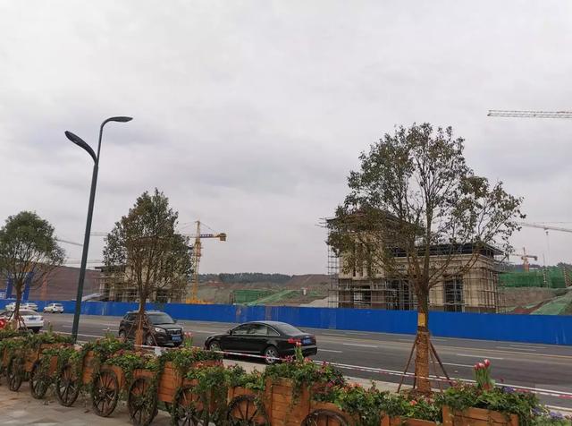 学府华宅｜有金为·铂鹭风华，有可期未来